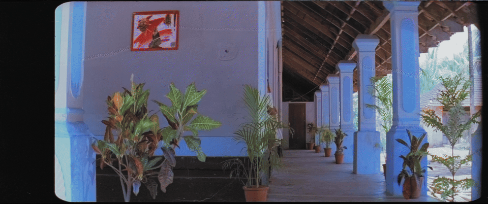 Inference output scrub