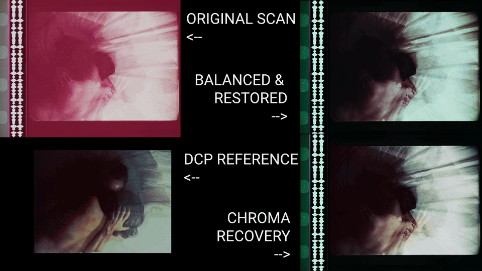 Muralla Verde comparison preview